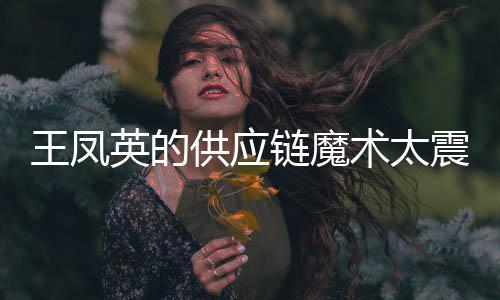 术太”何小鹏坦言研发之艰难