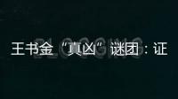 王书金“真凶”谜团：证据审查与疑罪从无原则的坚守