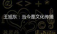 王旭东：当今是文化传播的最好时代