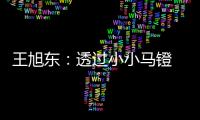 王旭东
	：透过小小马镫 可知文明不同