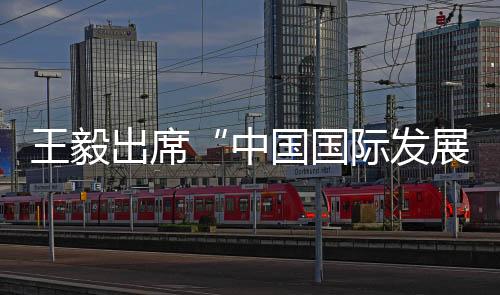 王毅充分考虑受援国实际需求