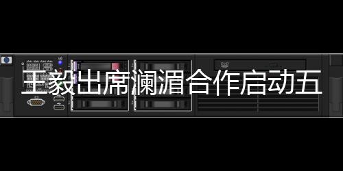 是王毅天然的合作伙伴