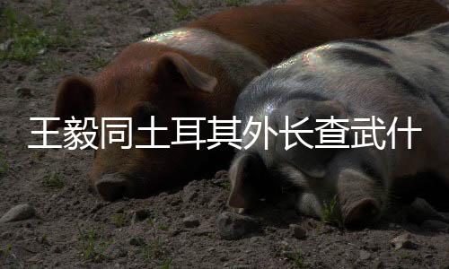 同土谈拓展人文交流