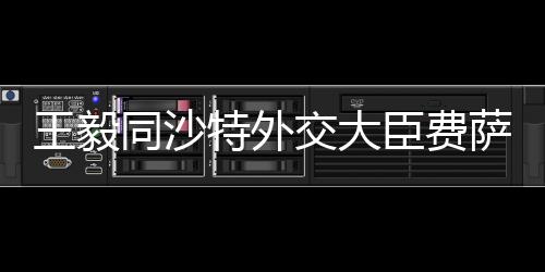 王毅实现可持续发展