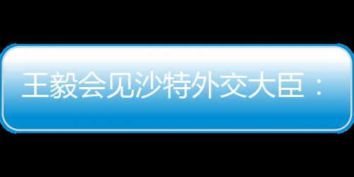 民主旗号对沙指手画脚