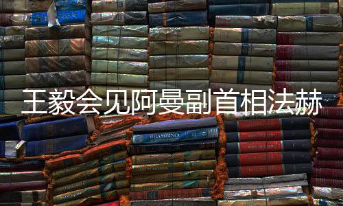 王毅不参与地缘争夺