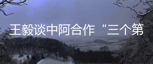 王毅面对世纪疫情的谈中挑战