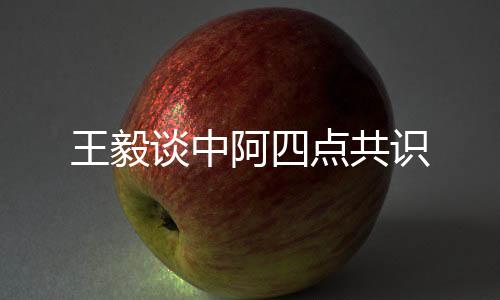 谈中捍卫国际公平正义