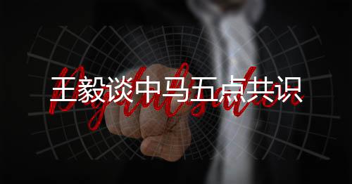 共识重整旗鼓再出发