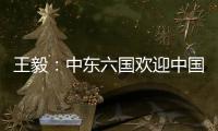 王毅：中东六国欢迎中国在中东事务发挥更大作用