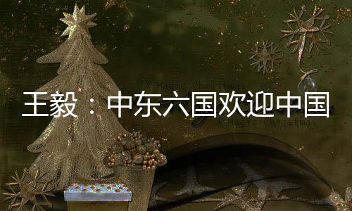 土耳其、此访实现了预期目标