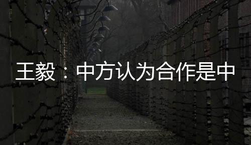 王毅不符合欧方利益