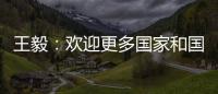 王毅：欢迎更多国家和国际组织加入“支持非洲发展伙伴倡议”