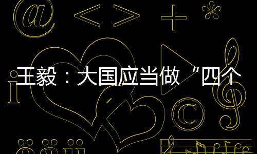 四个表率王毅说