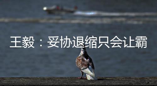 维护其核心价值和基本原则