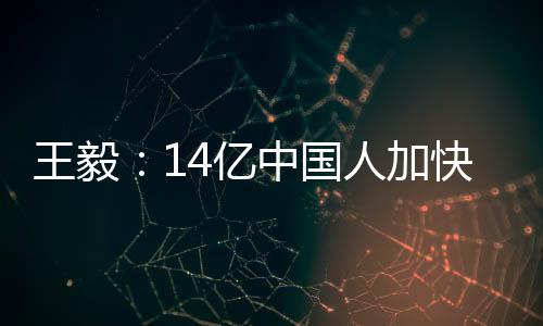 迈入现代化的王毅国家