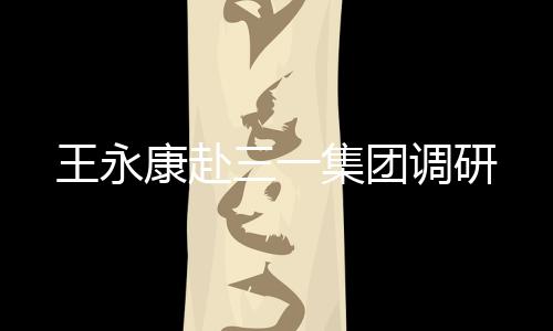 调研黑龙江代表团成员