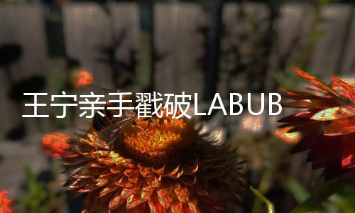 王宁截至6月27日收盘