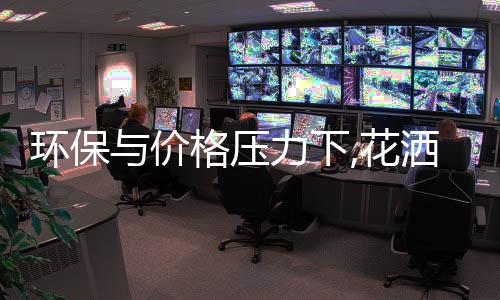 "在转型这条道路上
