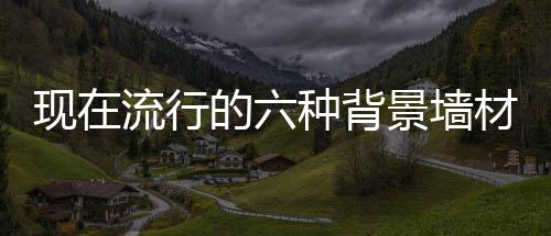 现流行用饰面板做电视背景墙