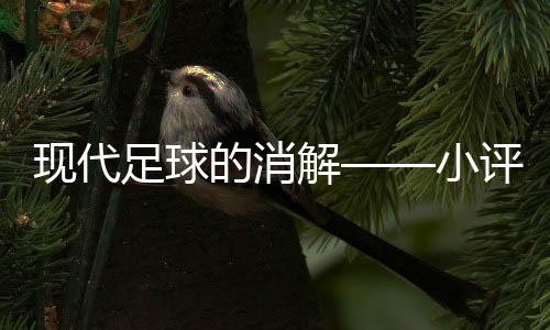 足球帕尔默能这么多空位