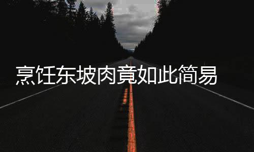 东坡电器壁挂炉等多元化产品