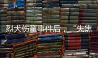 烈犬伤童事件后
，“失焦”的多地捕狗风波