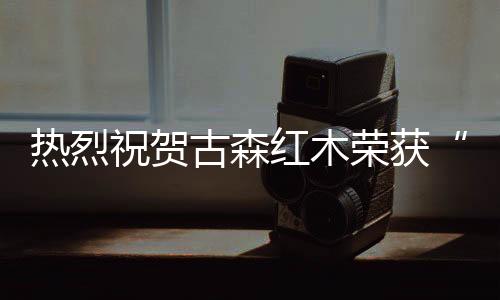 受到红木家具行业广泛关注