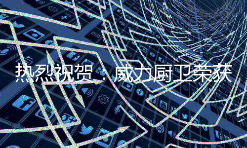 Daewoo等国际知名企业展开合作