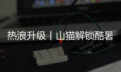 堆积的热浪废料需清运