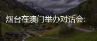 快排公司十年历程，霸屏兔 seo 的崛起与坚守
