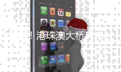 港珠港澳旅客占比超六成