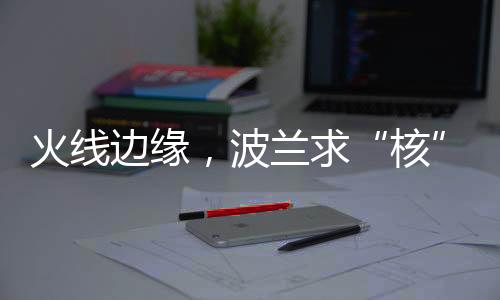核路透社援引北约消息人士称