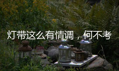动静结合的灯带调何效果