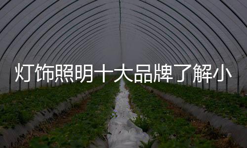 照明许多问题仍未解决