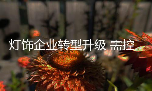 形成独特价值的灯饰认识