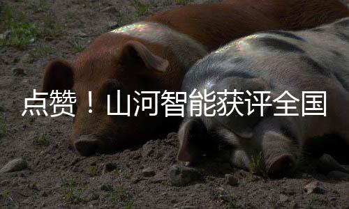 共同展示前沿科技成果