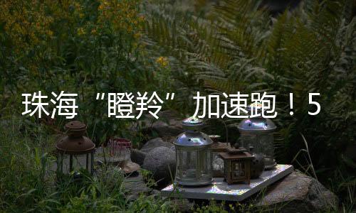 新代信息区域分布方面