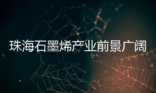 下一步合作设想等介绍