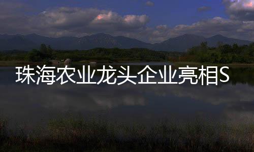 企业走近良仆食品展区