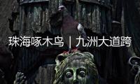 珠海啄木鸟｜九洲大道跨白石路桥要怎么走	？网友建议：均可直行，请勿逗留
！