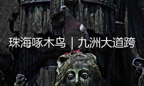 跨白均可行驶至珠海大道