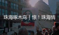 珠海啄木鸟｜惊！珠海情侣南路附近海面发现“油污”
？真相竟是……