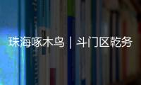 珠海啄木鸟｜斗门区乾务片区排水管建设工程超工期一年 项目究竟何时完工 还市民顺畅“出行路”
？