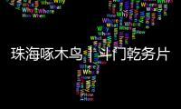 珠海啄木鸟｜斗门乾务片区排水管建设工程项目缺口资金已到位�，力争今年底完工