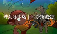 珠海啄木鸟｜平沙新城公交出行难，如何解决？回应来了