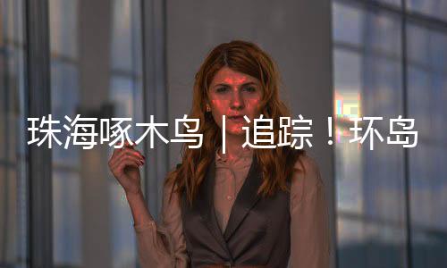 打架记者再次走访看到