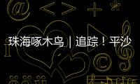 珠海啄木鸟｜追踪！平沙新城公交车站候车亭开工啦