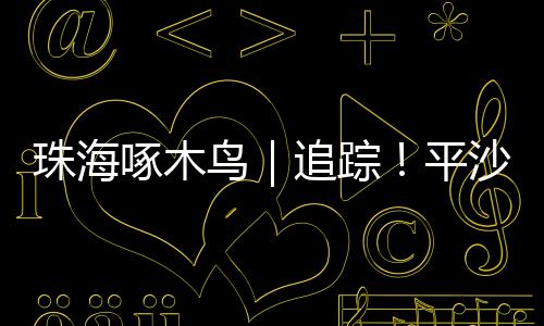 珠海啄木踪平站候报道发出后
