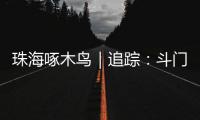 珠海啄木鸟｜追踪：斗门区乾务片区排水管建设工程 项目缺口资金已到位 力争今年年底完工